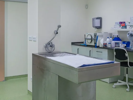 Clínica Veterinaria Dra Mari Carmen García - Veterinarios en Jávea - Veterinary Clinic in Jávea