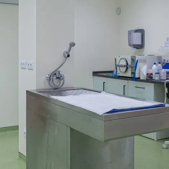 Clínica Veterinaria Dra Mari Carmen García - Veterinarios en Jávea - Veterinary Clinic in Jávea