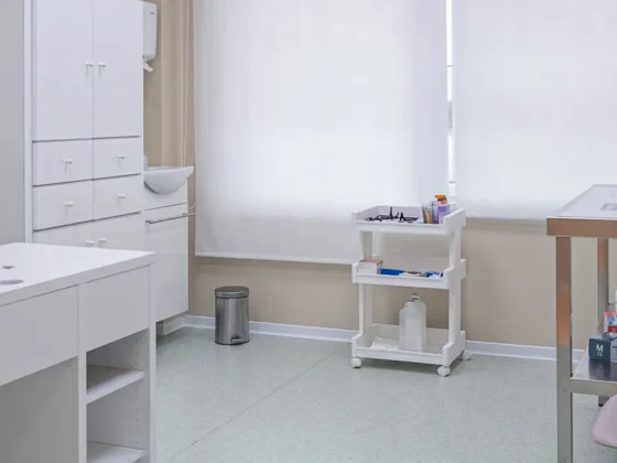 Clínica Veterinaria Dra Mari Carmen García - Veterinarios en Jávea - Veterinary Clinic in Jávea