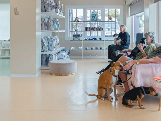 Clínica Veterinaria Dra Mari Carmen García - Veterinarios en Jávea - Veterinary Clinic in Jávea