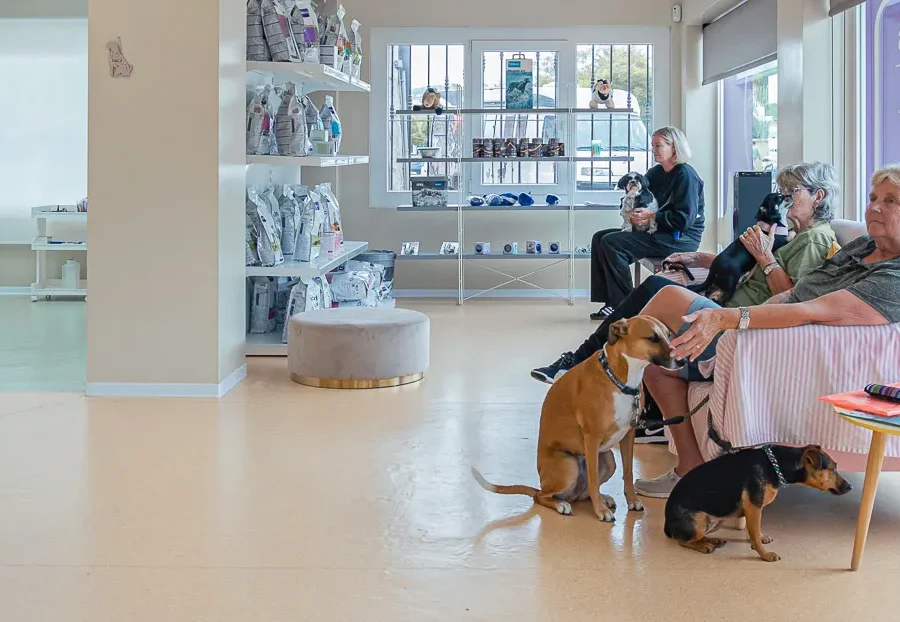 Clínica Veterinaria Dra Mari Carmen García - Veterinarios en Jávea - Veterinary Clinic in Jávea