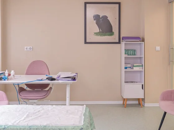 Clínica Veterinaria Dra Mari Carmen García - Veterinarios en Jávea - Veterinary Clinic in Jávea