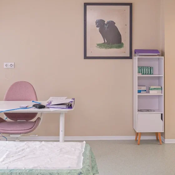 Clínica Veterinaria Dra Mari Carmen García - Veterinarios en Jávea - Veterinary Clinic in Jávea