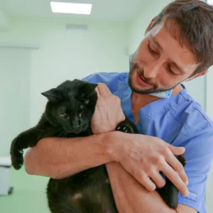 Especialidades y servicios Veterinarios Jávea - Clínica Veterinaria Dra Mari Carmen García - Veterinary Clinic in Jávea-1 copia