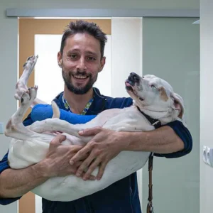 Stefan Assmann - Veterinarios Jávea - Clínica Veterinaria Dra Mari Carmen García - Veterinary Clinic in Jávea-2 copia